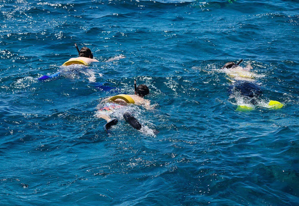 Snorkeling Cruise in Turks and Caicos Islands