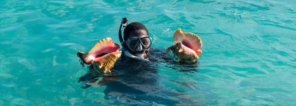 snorkel diving for conch