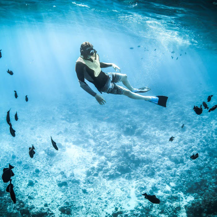 Man Snorkeling in turks and Caicos