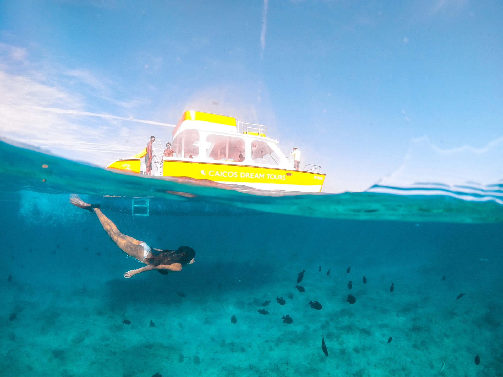 Girl swims with fish below a Caicos Dream Tours charter boat