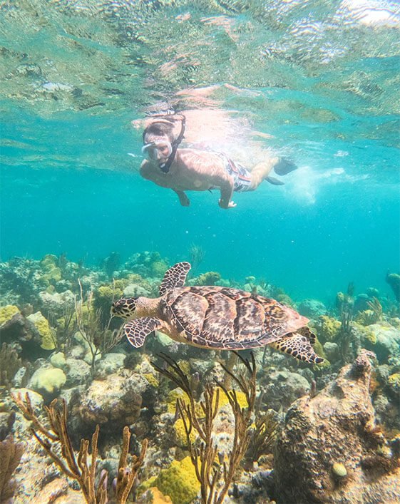 SNORKEL AND CONCH CRUISE