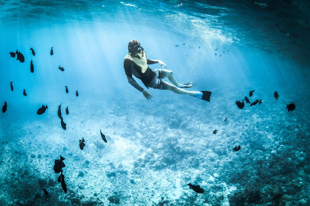 Person snorkeling underwater with flippers, surrounded by fish in clear blue water.