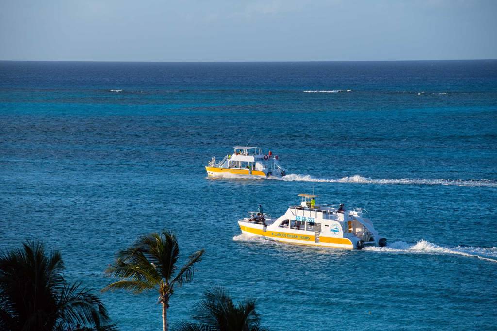Two yellow boats on blue ocean near palm trees under clear sky.