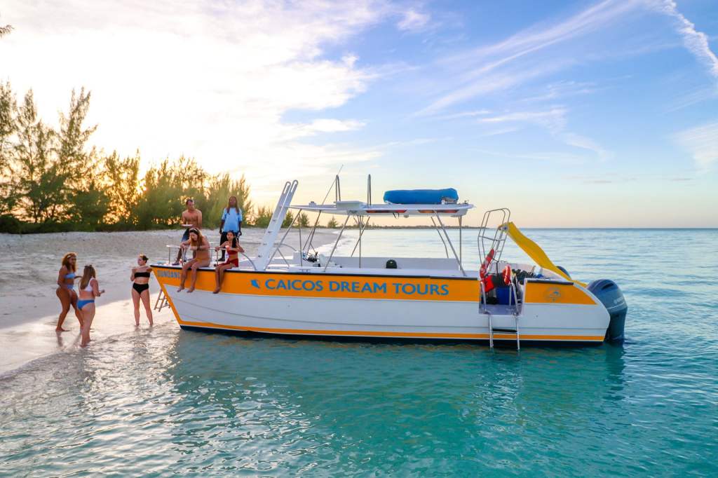 People enjoying a beach near a tour boat on clear blue water.