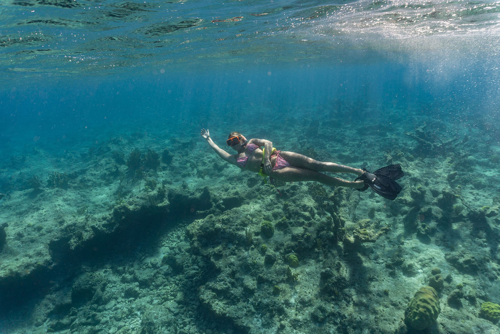 Person snorkeling over a coral reef in clear blue water.