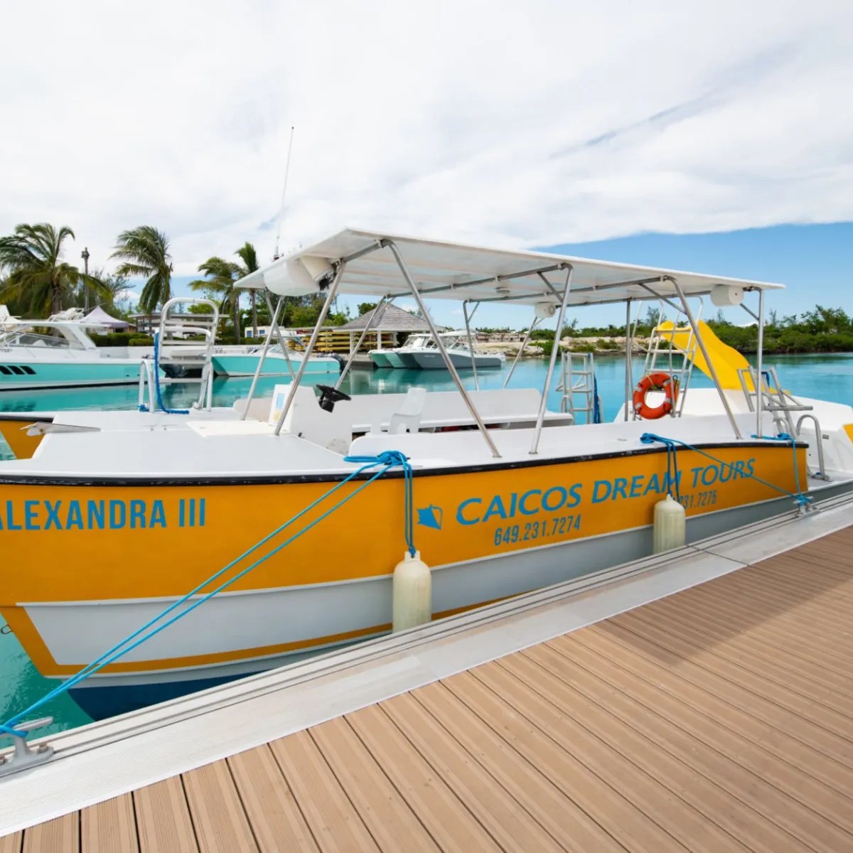 Yellow tour boat docked at marina with palm trees and buildings in background.