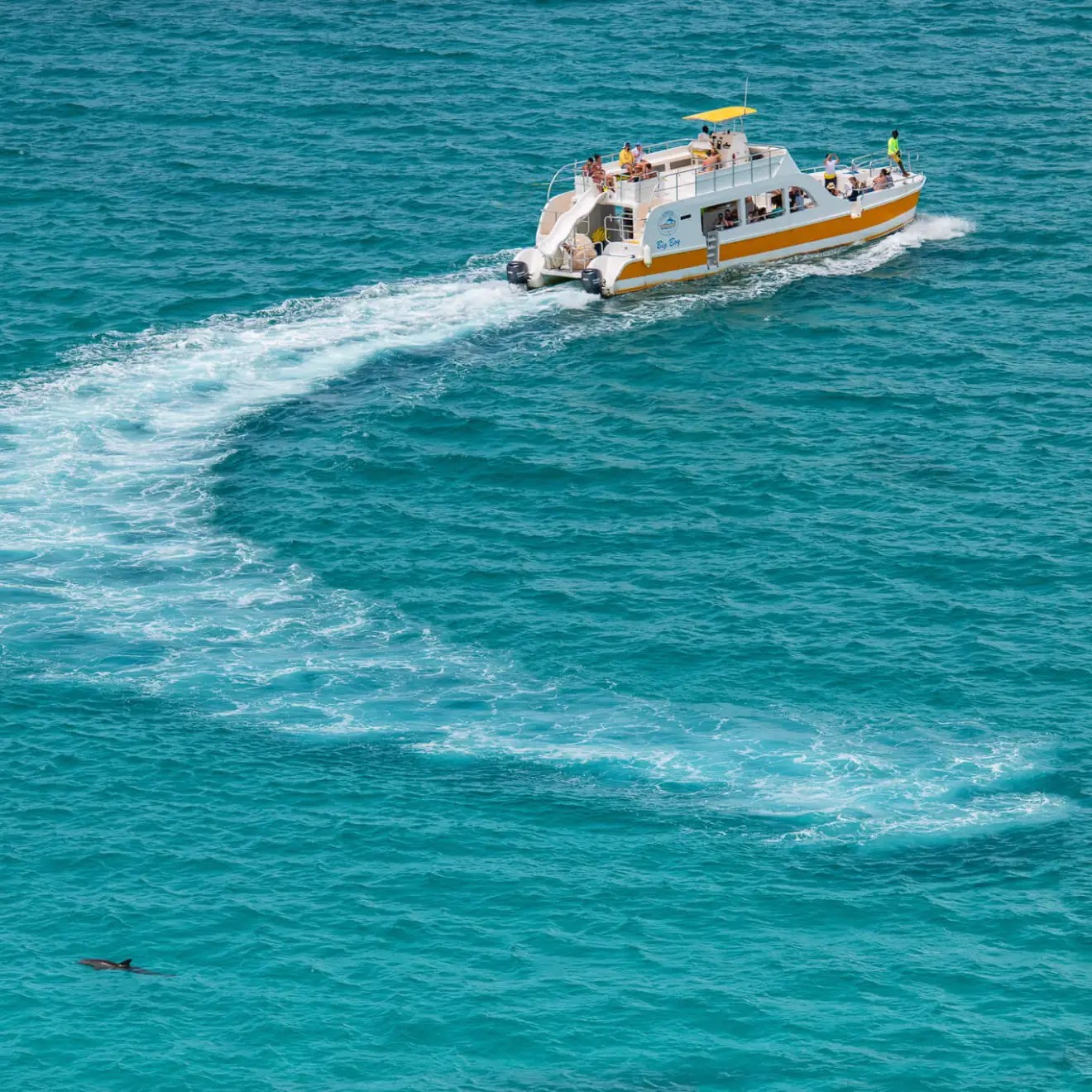 Boat cruising on clear blue water leaving a white wake.