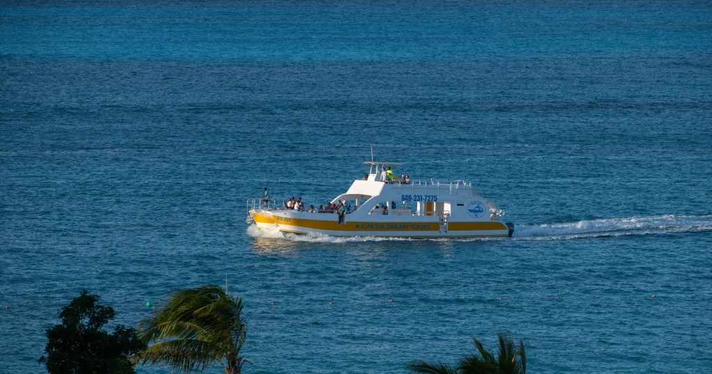Yellow and white ferry with passengers in blue ocean near trees.