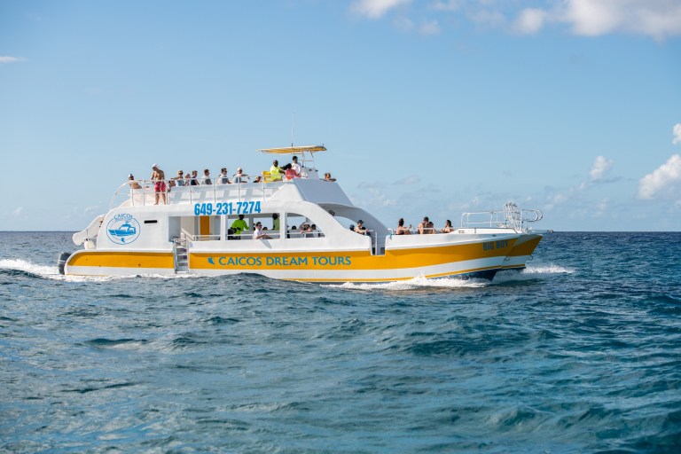 Yellow and white tour boat on ocean with passengers under clear sky.