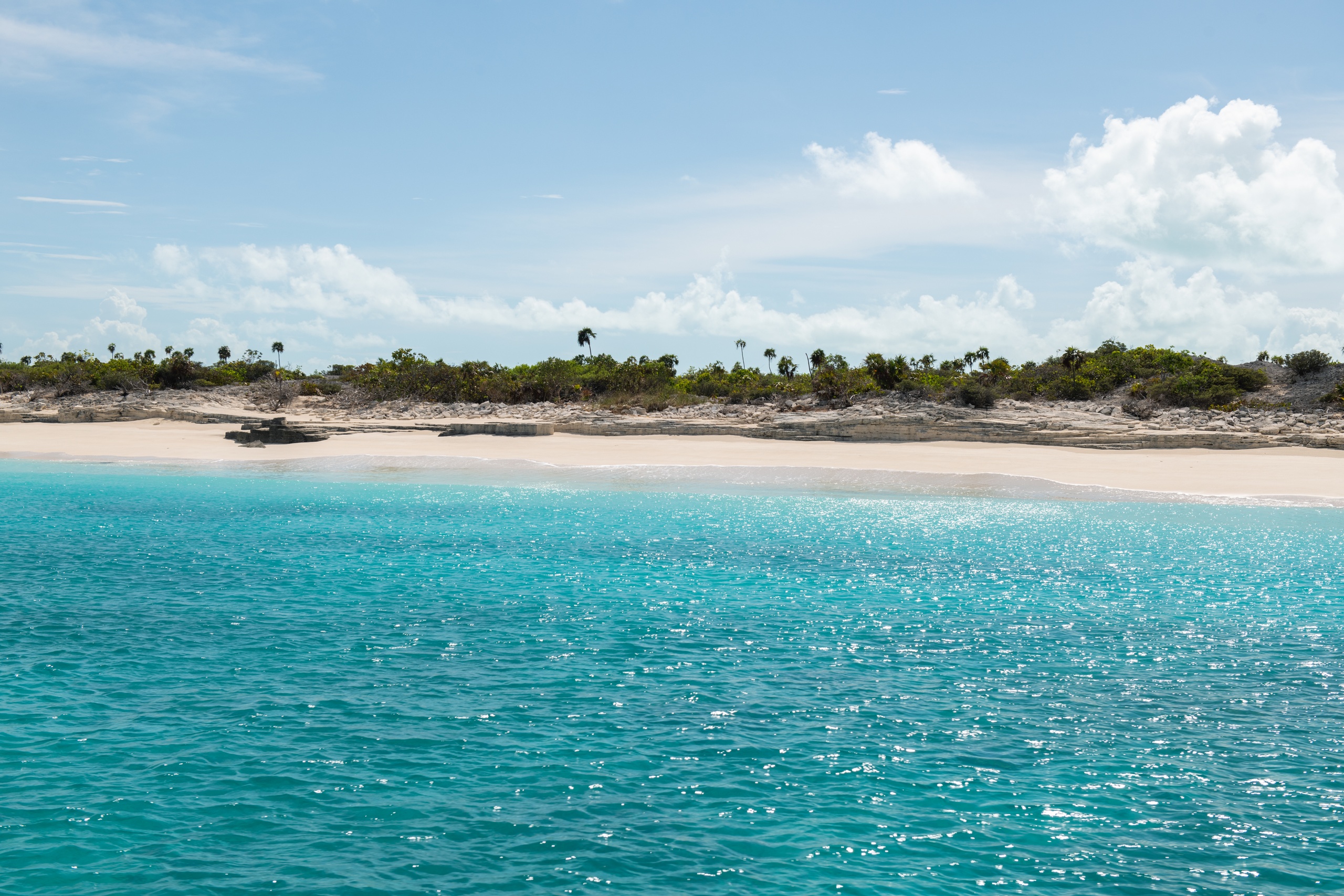 Tropical beach with turquoise water and palm trees under a blue sky.