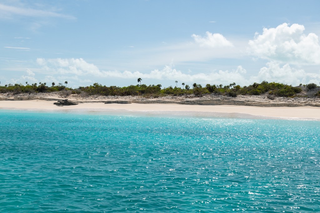 Tropical beach with turquoise water and palm trees under a blue sky.