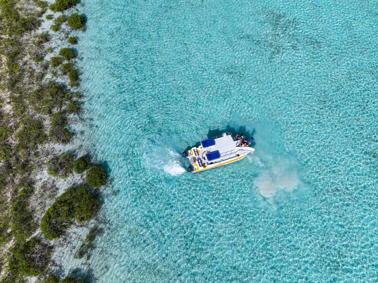 Aerial view of a boat in clear turquoise water near a small patch of lush greenery.