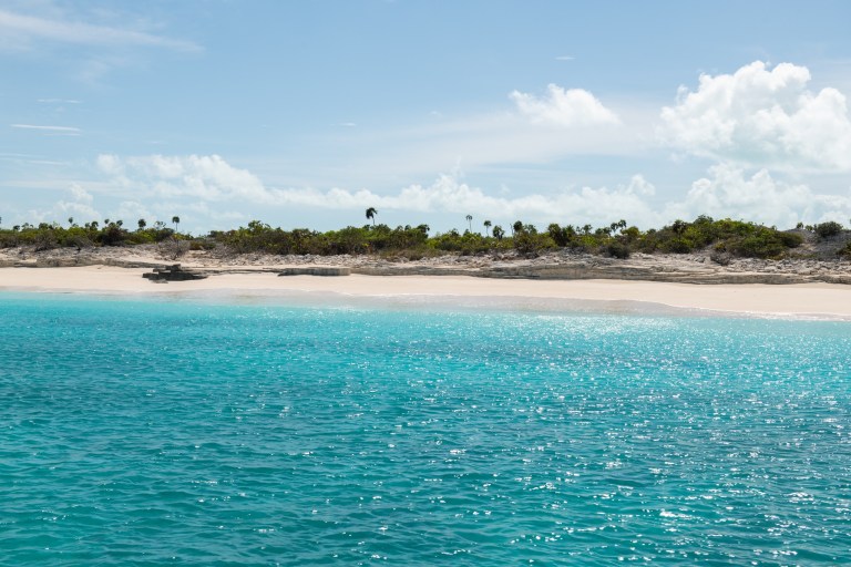 Tropical beach with turquoise water, white sand, and palm trees under a clear blue sky.
