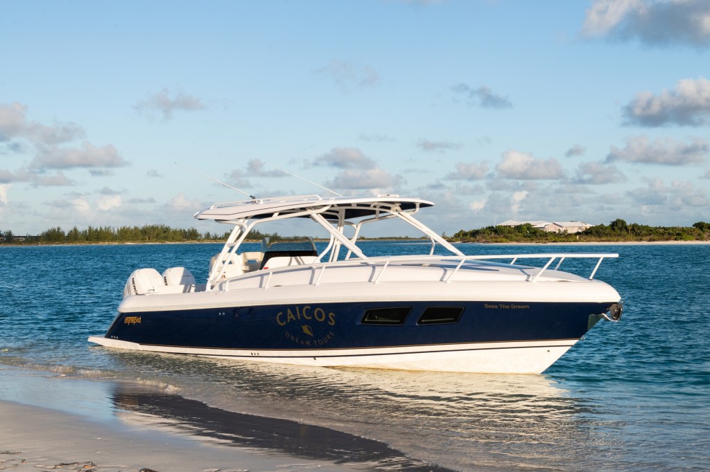 White and blue boat on clear water near a sandy beach.