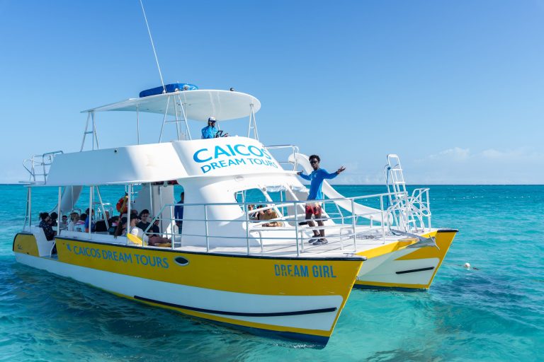 Yellow and white catamaran with tourists on turquoise sea.