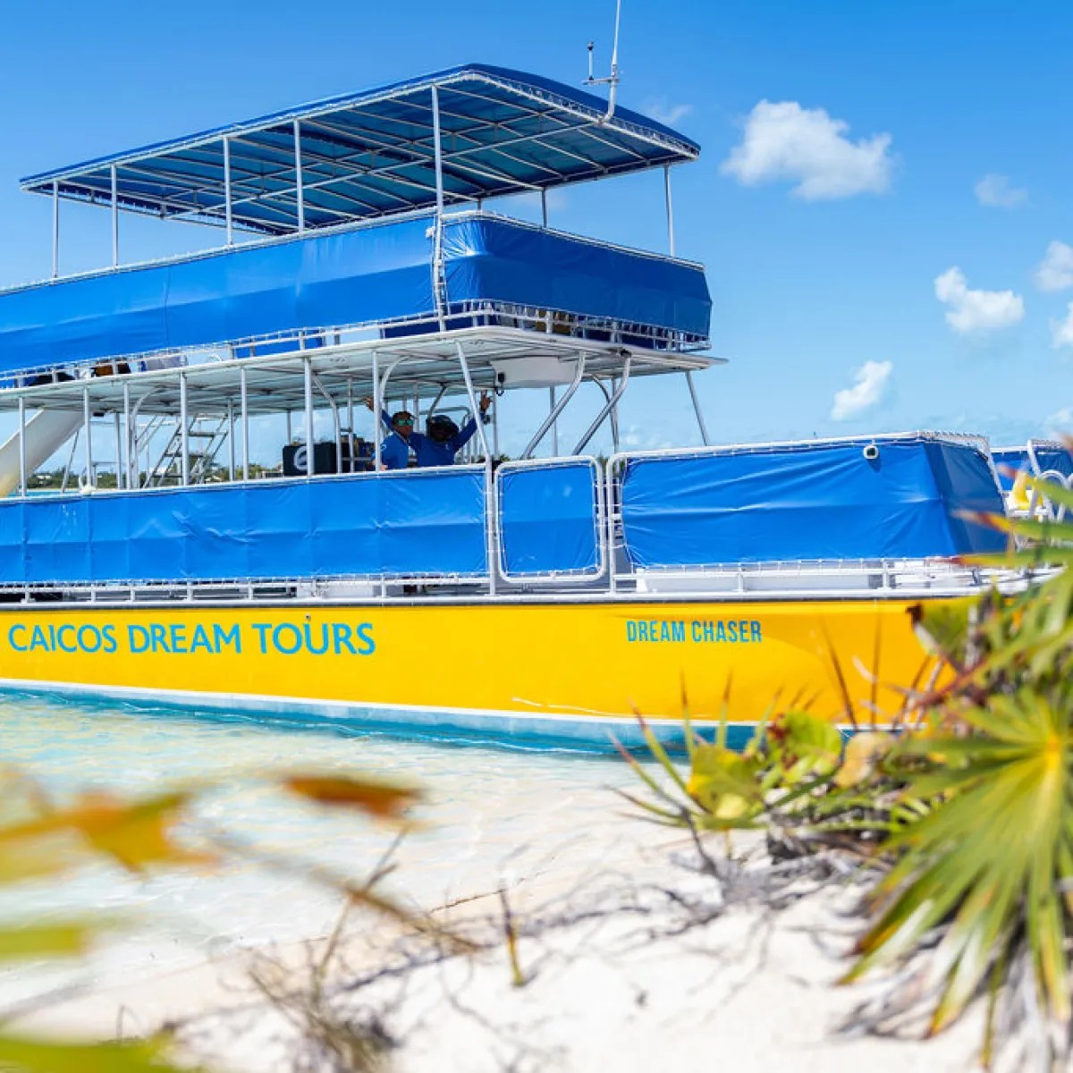 Yellow tour boat named 'Dream Chaser' by the beach on a sunny day.