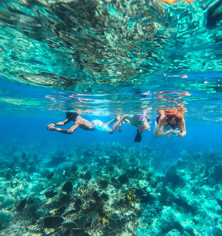 People snorkeling in clear blue water above coral reef.