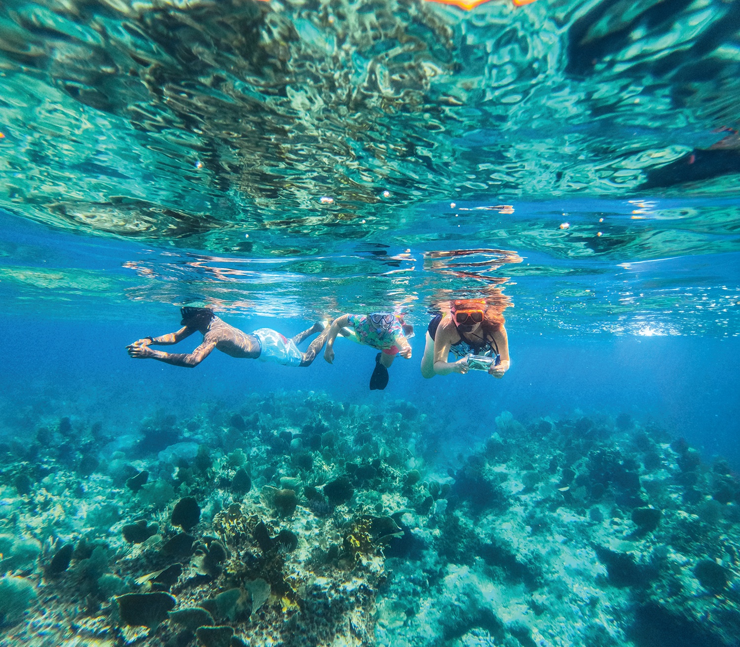 Real snorkeling and boat-tour photograph on Caicos Dream Tours official website