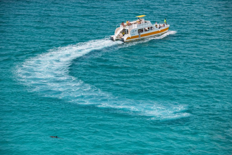 White and yellow boat making a curved wake in clear blue sea.