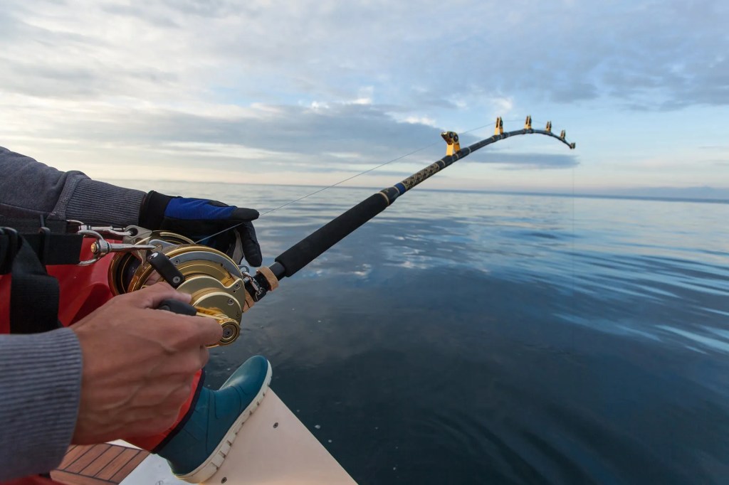 Person fishing on calm ocean from a boat, holding a bent rod.