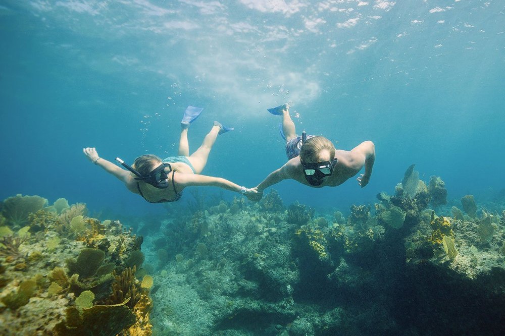 a person swimming in the water