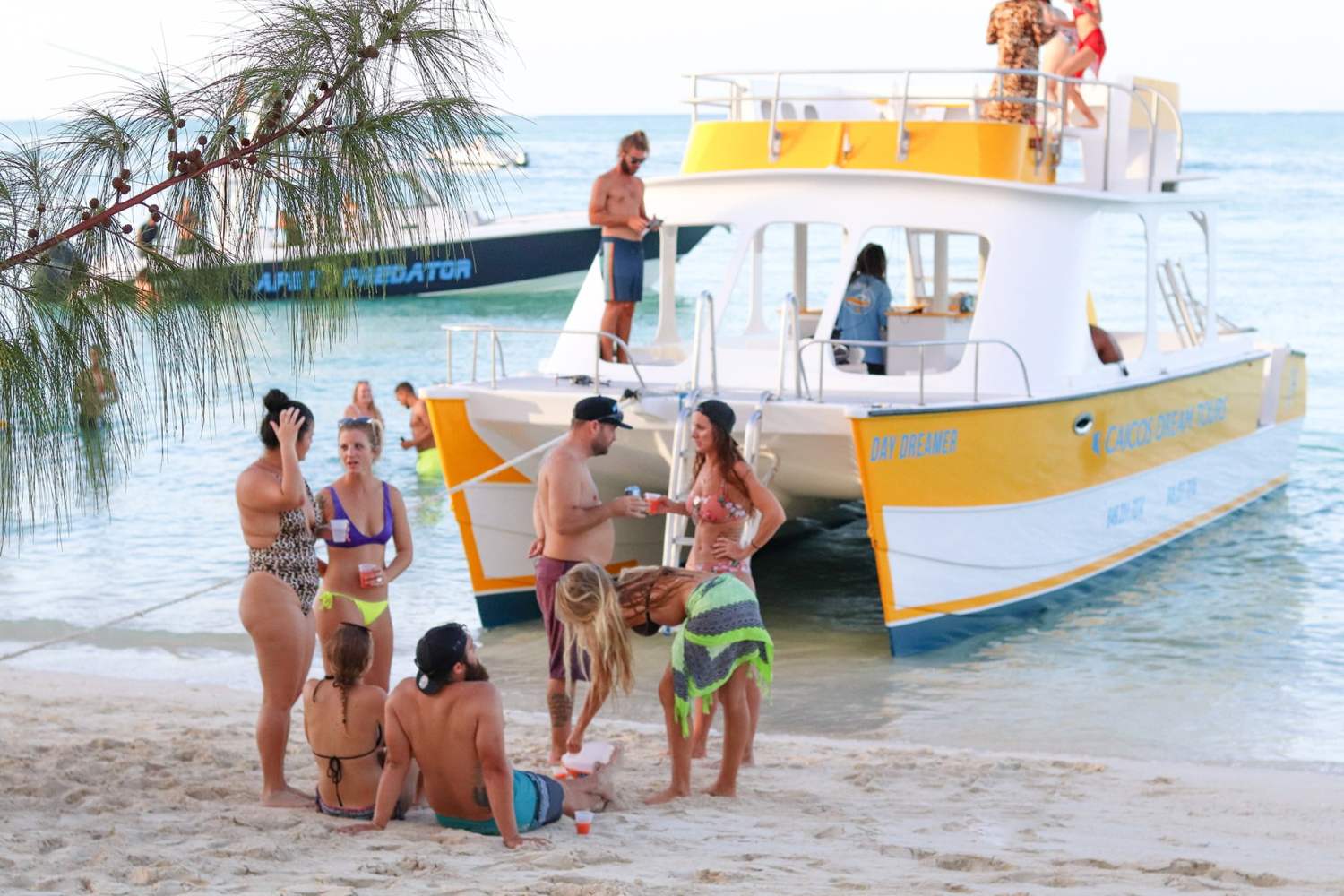 a group of people on a beach