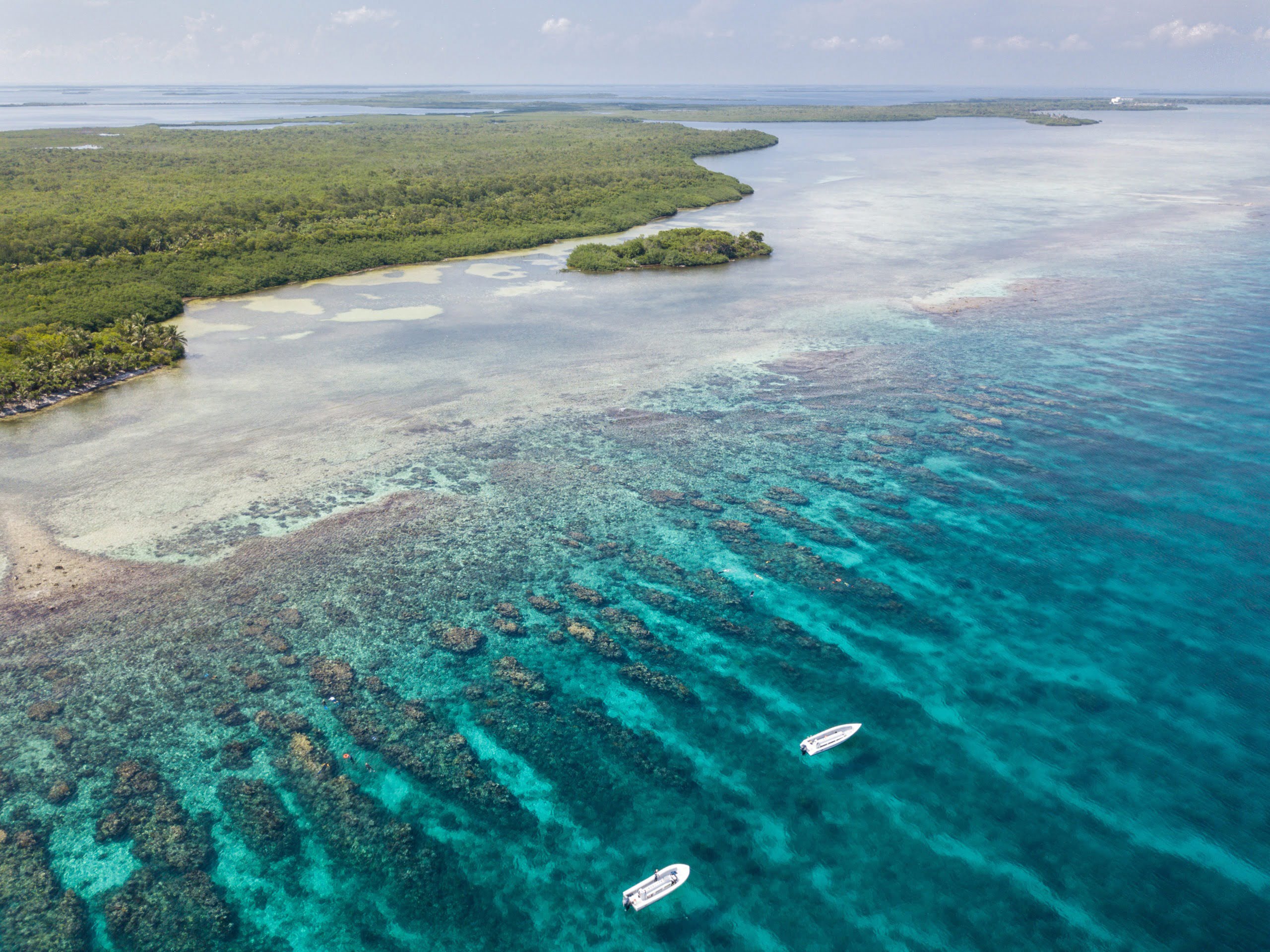 Aerial view of a spur and groove reef