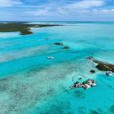 a flock of seagulls in a pool of water