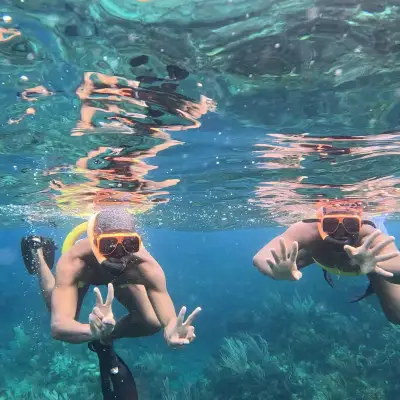 a person swimming in the water