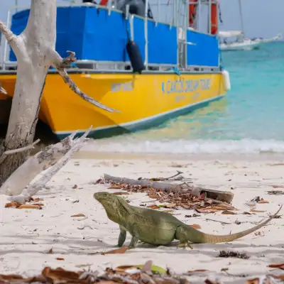 a boat sitting on top of a sandy beach