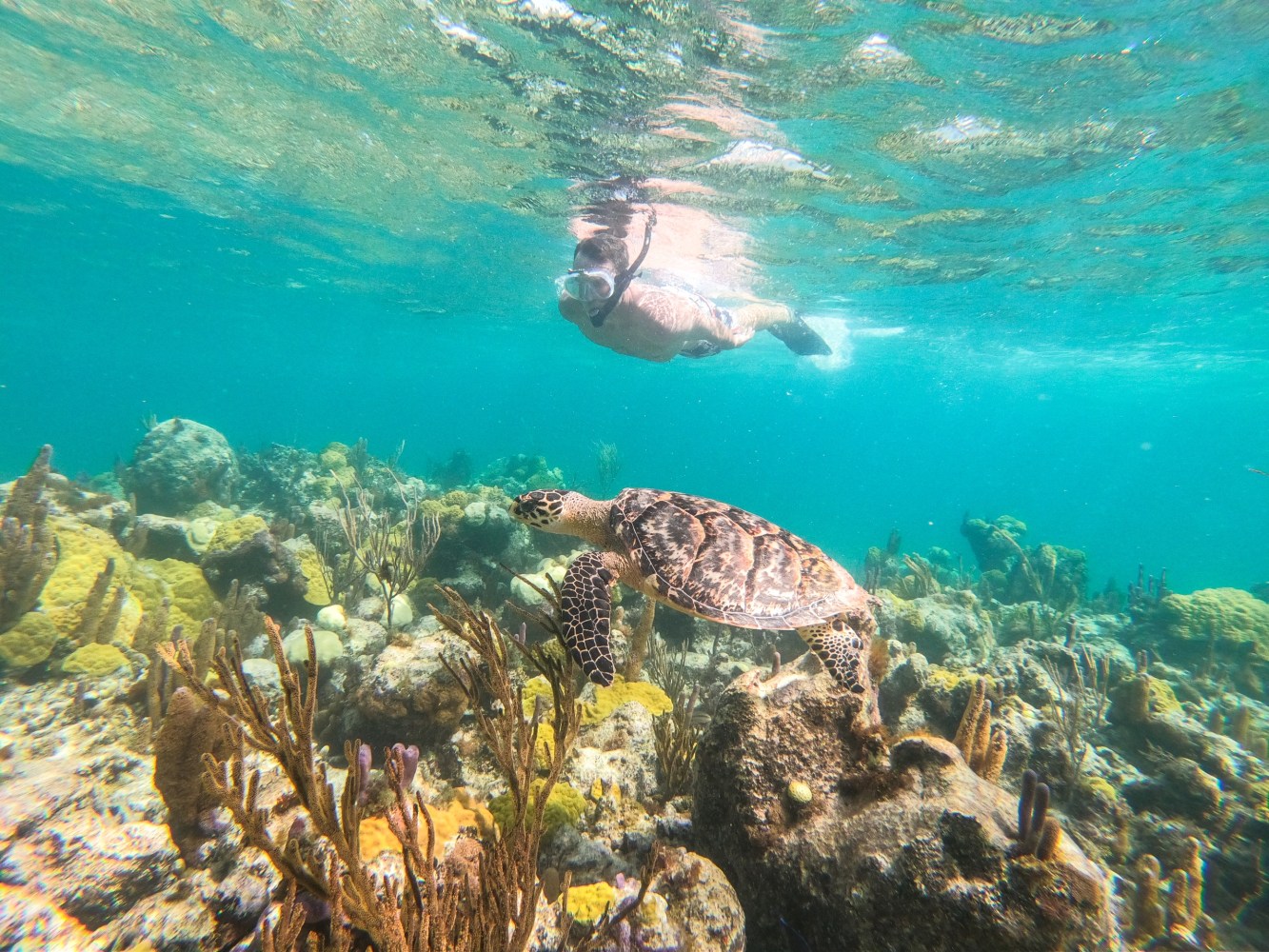 underwater view of the water