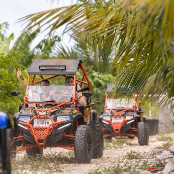 a car parked in front of a palm tree