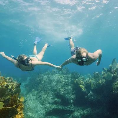 a person swimming in the water