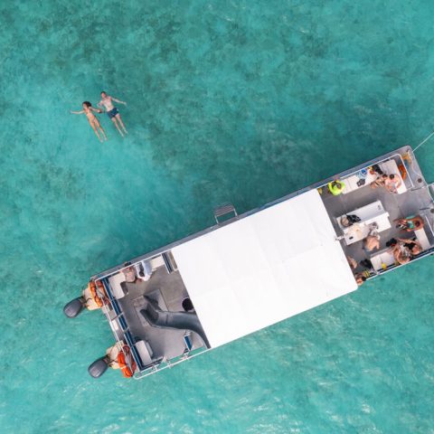 a person in a pool of water