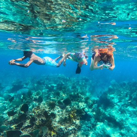 a man swimming in a pool of water