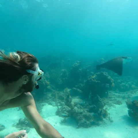 a person swimming in the water