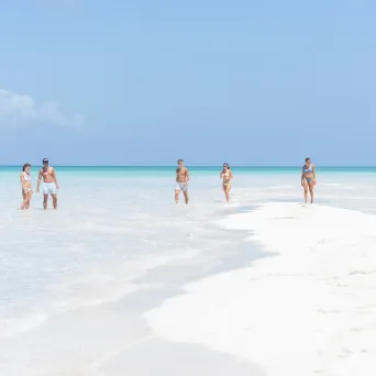 a group of people walking on a beach