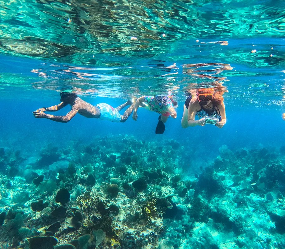 SnorkelMegan1-23 a man swimming in a pool of water