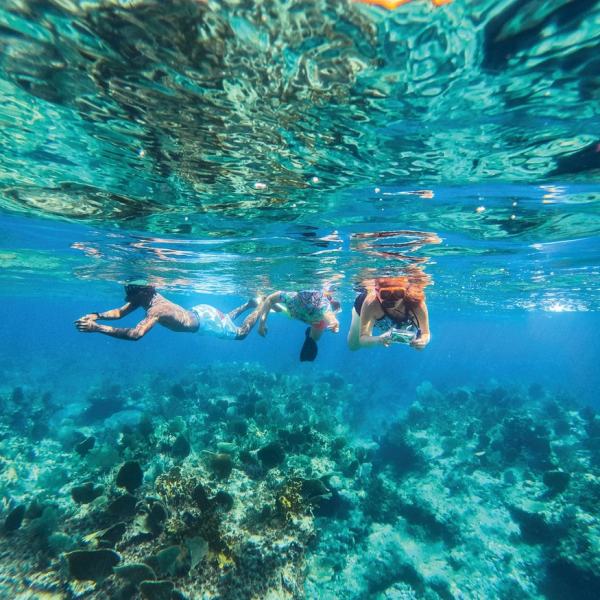Three people snorkeling above a coral reef in clear blue water.